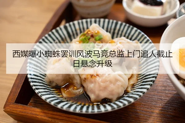 西媒曝小蜘蛛罢训风波马竞总监上门追人截止日悬念升级